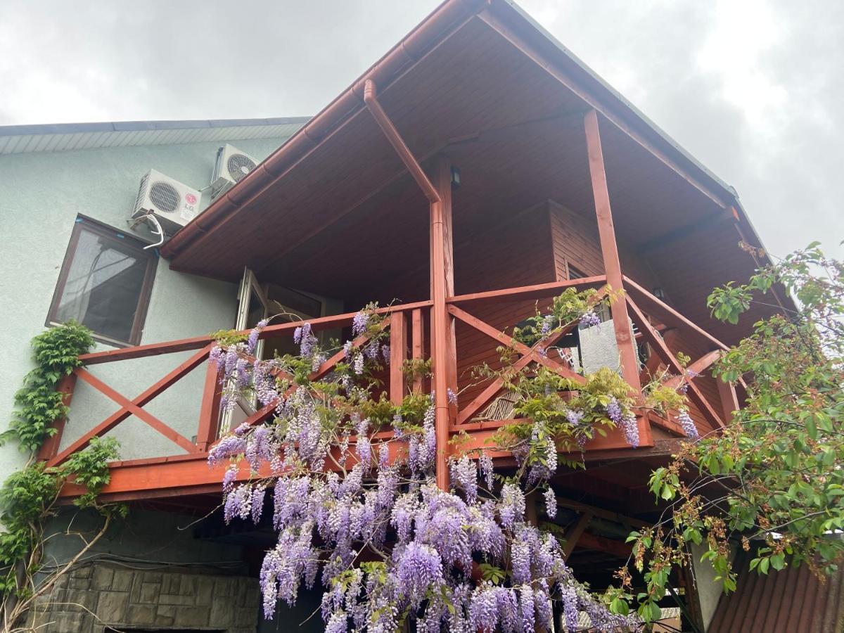 Fkoka Bed and Breakfast Berehove  Exteriör bild