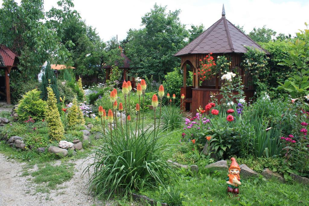 Fkoka Bed and Breakfast Berehove  Exteriör bild