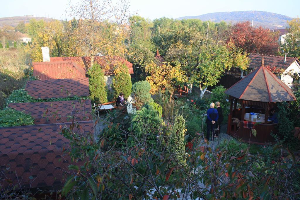 Fkoka Bed and Breakfast Berehove  Exteriör bild